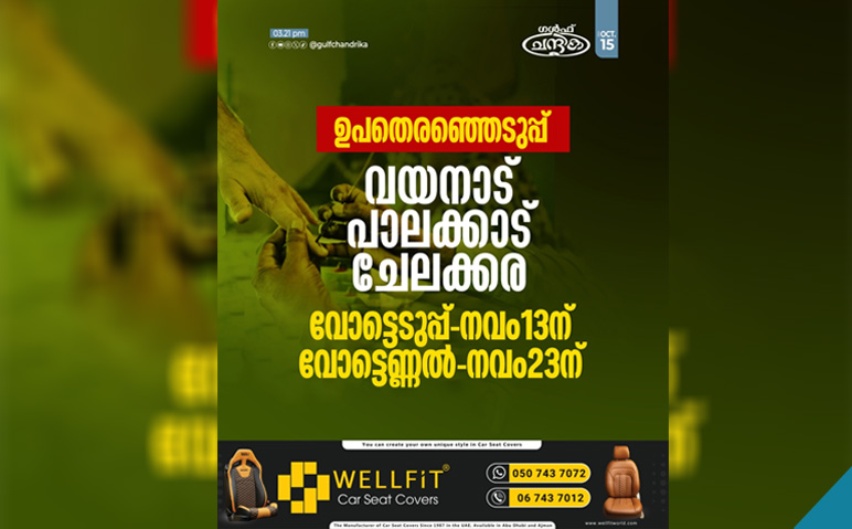 ഉപതെരഞ്ഞെടുപ്പ്