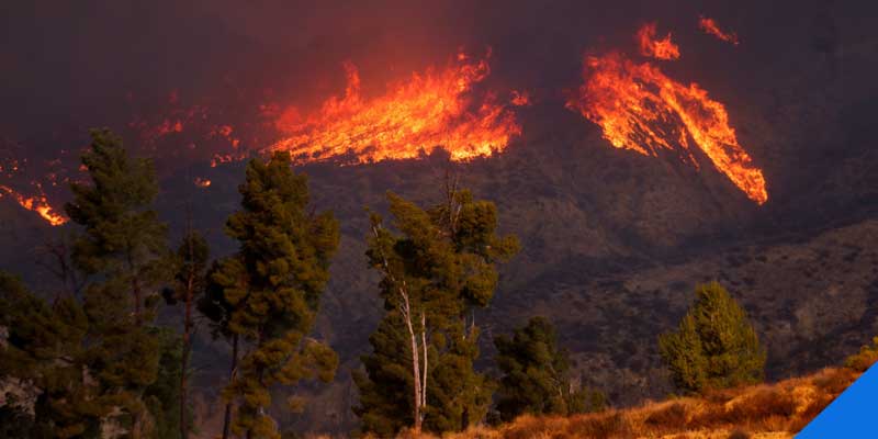 los angels wildfires